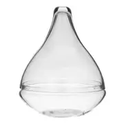 Rogue Seraphina Terrarium Clear Glass Planter Flower Vase Plant Container 32cm