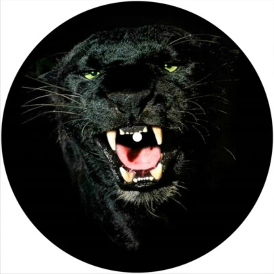 Slipmat Slip Mat for Rega or Single 7" DJ Turntable Record Player BLACK PANTHER