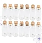 EXQUIMEUBLE 20pcs Mini Cork Glass Bottles Wish Jars for Crafting Projects and Tea Storage for Messages Potpourri and Decoration