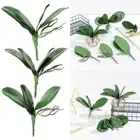 Leaves Phalaenopsis Leaf Plastic Grass Simulation Leaves Artificial Plants