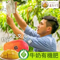 在飛比找ihergo愛合購優惠-免運!【盧家枋山芒果】銷日嚴選 御用級 愛文芒果禮盒 2.5