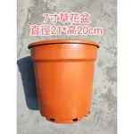 7寸 草花盆 荷蘭盆 直徑21 高20CM