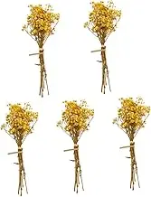 HOLIDYOYO 5Pcs Dried Babysbreath Flower Bundles Natural Dried Gypsophila for Photography Props Wedding Decor Home Decoration Embellishment Arrangement