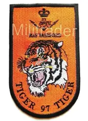 Britain British Royal Air Force 1997 NATO Tiger Meet Patch (Fairford, England)