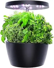 Smart Garden, Hydroponics Growing System with LED Grow Light, Indoor Herb Garden Starter Kit for Beginners, Black, 4 Pots