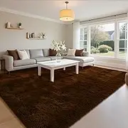 HOMORE Living Room Rug 5 x 7 Area Rug, Brown Rugs for Living Room Bedroom, Large Fluffy Rugs Super Soft Carpet for Kids Room Classroom Dorm Home