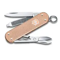 在飛比找蝦皮商城優惠-VICTORINOX 瑞士維氏瑞士刀 5用 58mm Fre