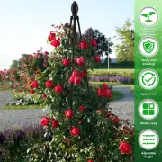 Garden Obelisk Supports Rustproof Vegetables Obelisk Towers Easy to jeNoz