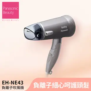 Panasonic國際牌 負離子吹風機 雲灰紫 EH-NE43-T 蝦皮直送