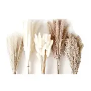 120PCS Pampas Grass Boho HomeDecor Dried Flowers-Pampas Grass Contains5769