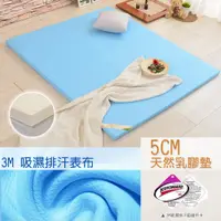 在飛比找蝦皮商城優惠-【LooCa釋放壓力的專家】5cm 天然乳膠 床墊 吸濕排汗