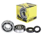 Pro-X 23.CBS22088 Crankshaft Bearing and Seal Kit