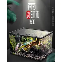 在飛比找蝦皮購物優惠-【台灣現貨】雨林缸 爬蟲缸 水族缸 爬蟲玻璃缸 玉米蛇 豹紋