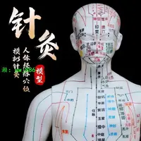 在飛比找樂天市場購物網優惠-針灸人體模型穴位人體經絡模型中醫男女按摩全身銅人十二扎針小皮