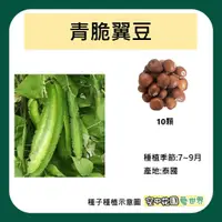 在飛比找蝦皮購物優惠-【台灣出貨 電子發票】青脆翼豆種子 10顆 菜籽 種子 田園