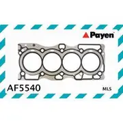 Payen Head Gasket - AF5540