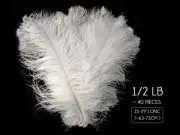 1/2 Lb. 25-29" White X-Large Ostrich Wing Plumes Wholesale Feathers Centerpiece