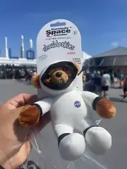 NASA Space Suit Astronaut Teddy Bear Plush（SHOULDERKINS） magnet
