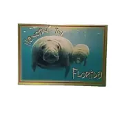 Postcard Gentle Manatee, Hangin' In Florida