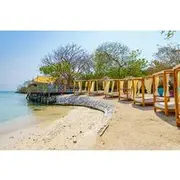 Save 20.00%! full day in coconut crazy beach club with snorkel and lunch