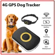 FA29 4G GPS Locator Real Time Tracking Waterproof Anti-Lost Device Dog Tracker