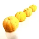 USA Halloween Soap pumpkin pure goat milk Handmade KIZIMA