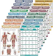 20 Pack - Exercise Workout Poster Set: Dumbbell, Suspension, Battle Rope, Stretching, Bodyweight, Barbell, Yoga, Exercise Ball, Kettlebell, Resistance Bands and More (PAPER - NOT LAMINATED, 18" x 24")