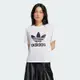 ADIDAS TRFL TEE BOXY 三葉草 女短袖上衣-白-IN8441