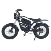 Electric Bicycle Ebike 48V 2000W 7 Speed Mountain Bike 20" Fat Tire Shimano