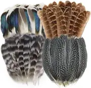 40pcs Natural Pheasant Feathers Spotted Feathers Turkey Feathers 4 Styles