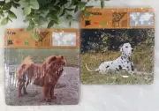 Educational Cards Dogs Homeschool Learning Knowledge School