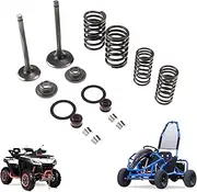 New Olym Cylinder Head Intake and Exhaust Valve Seal Spring Kit Compatible 150cc GY6 Engine 66mm Intake Exhaust Valves QMJ152/157 Chinese Mini ATV Quad Horizontal Engine Pocket Dirt Bike