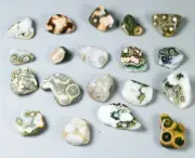 19pcs Amazing Ocean Jasper Crystal Agate Round Pendant Jasper Reiki Stone