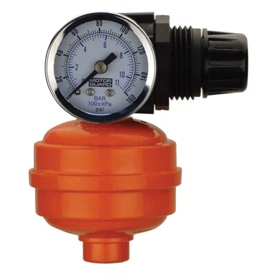 Motor Guard 1/4" Spray Gun Filter/Regulator, Made in USA #MOT-RF1