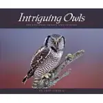 INTRIGUING OWLS: EXCEPTIONAL IMAGES AND INSIGHT