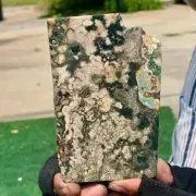 257G Natural Ocean Jasper Crystal SliceLarge Specimen Healing- Museum Grade