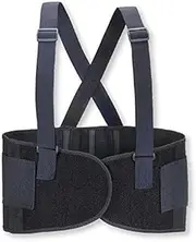Standard Back Support Belt Lumbar Lower Pain Relief Waist Brace (XL)