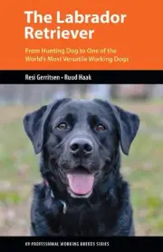 The Labrador Retriever: From Hunting Dog to One of the World's Most Versatile Wo