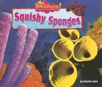 在飛比找博客來優惠-Squishy Sponges