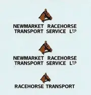 Dinky 979 Racehorse Transport Newmarket | transfer/Decals