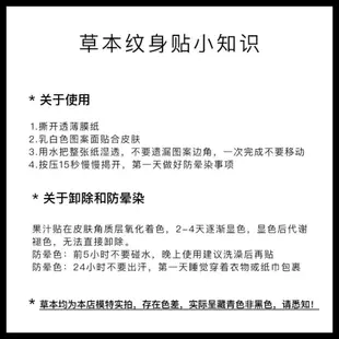 紋身貼草本半永久果汁綫條刺青色藝伎花臂紋身貼半臂男女防水持久