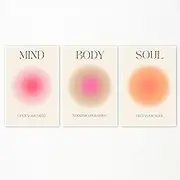 Adyggefy Art Positive Aura Aesthetic Posters 3 Piece Colorful Aura Gradient Canvas Wall Art Spiritual Soul Body Mind Quote Print Painting Danish Pastel Wall Decor for Yoga 12x16in Unframed