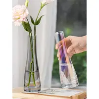在飛比找樂天市場購物網優惠-【優選百貨】透明花瓶 花器 放玫瑰花的花瓶法式玻璃小口徑客廳