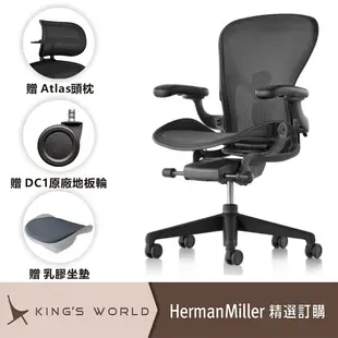 【Herman Miller】Aeron2.0 全功能 尼龍腳 石墨色 B SIZE DW扶手