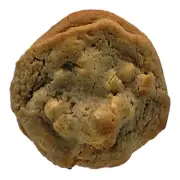 1 Dozen Macadamia White Chocolate Chip Cookies 4 inch by 1/2 thick