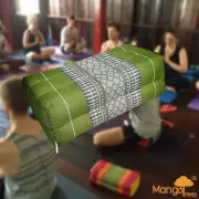 MANGO TREES Yoga Block Meditation Cushion Pillows Pilates Prop Bolster Green