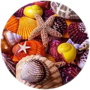 Machine Washable Round Area Rug Indoor Ultra Soft Bedroom Floor Sofa Living Room Dorm Small Circular Carpet, Marine Life Starfish Conch Shell