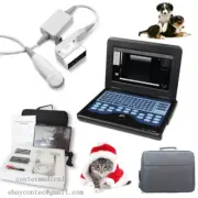 Portable Vet ultrasound Scanner Veterinary Laptop machine 5.0 micro Convex Probe