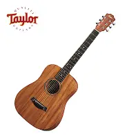 在飛比找Yahoo奇摩購物中心優惠-Taylor BT2E 電民謠旅行小吉他