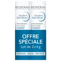 在飛比找蝦皮購物優惠-法國Bioderma 貝膚黛瑪 Atoderm 滋潤修護唇膏